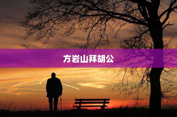 方岩山拜胡公