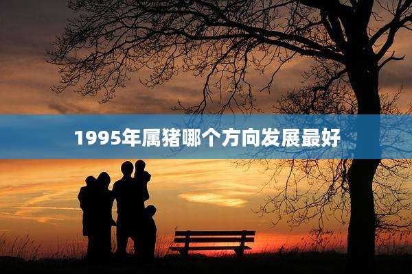 1995年属猪哪个方向发展最好