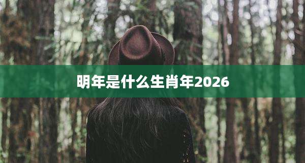明年是什么生肖年2026