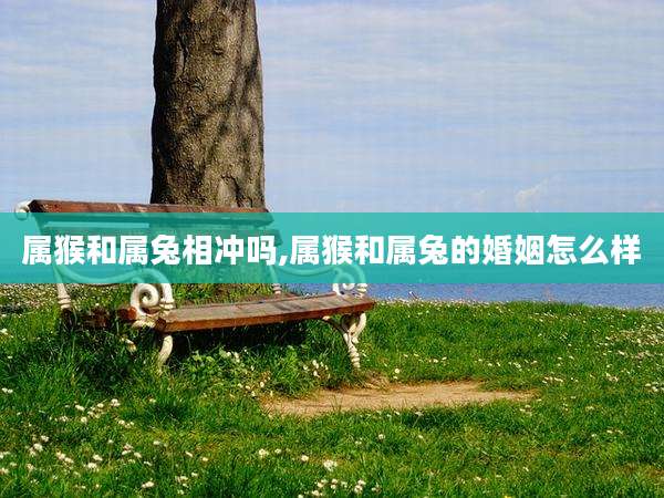 属猴和属兔相冲吗,属猴和属兔的婚姻怎么样