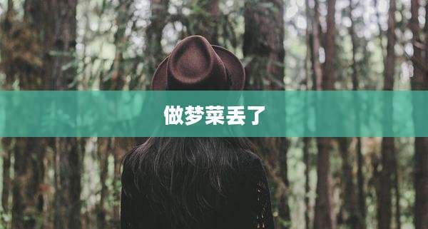 做梦菜丢了
