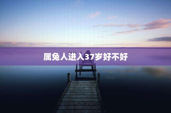 属兔人进入37岁好不好