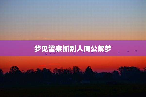 梦见警察抓别人周公解梦