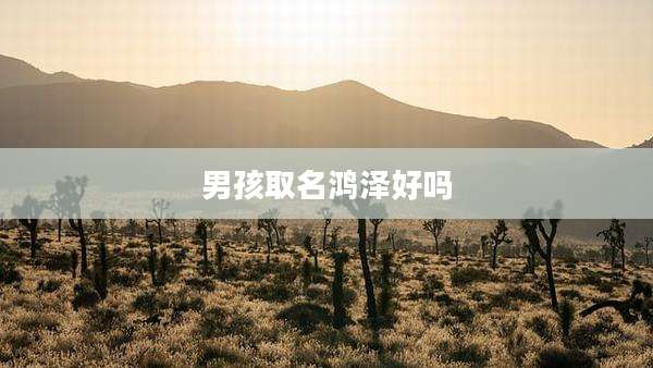 男孩取名鸿泽好吗