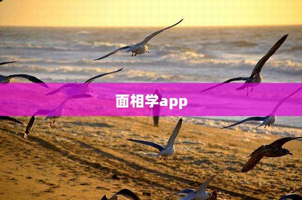 面相学app