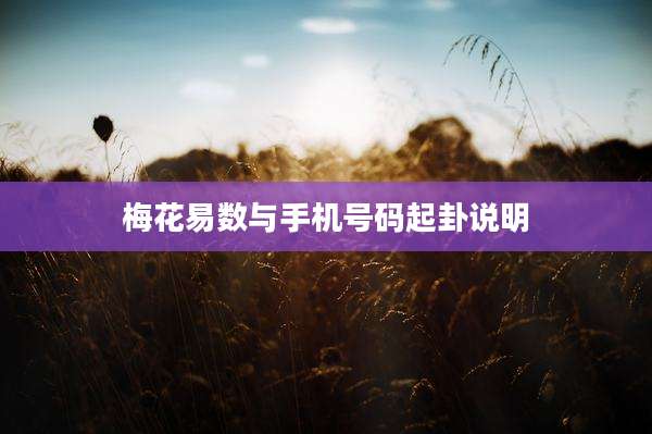 梅花易数与手机号码起卦说明