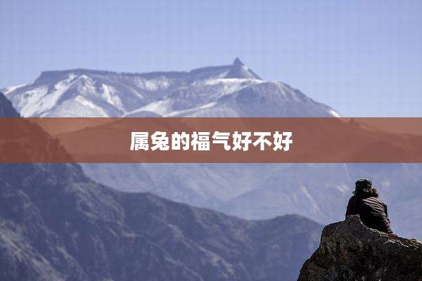 属兔的福气好不好