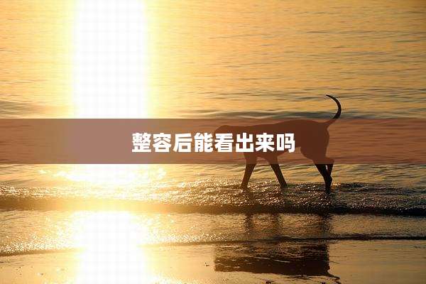 整容后能看出来吗