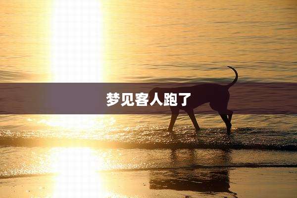 梦见客人跑了