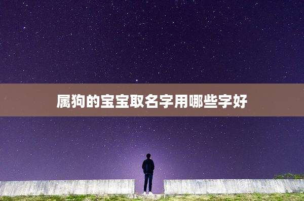 属狗的宝宝取名字用哪些字好