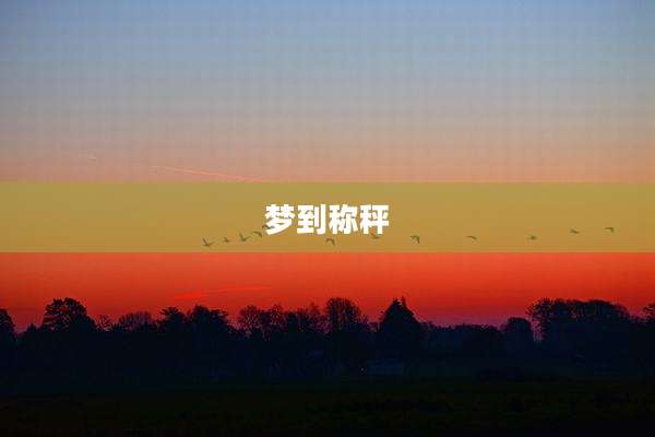 梦到称秤