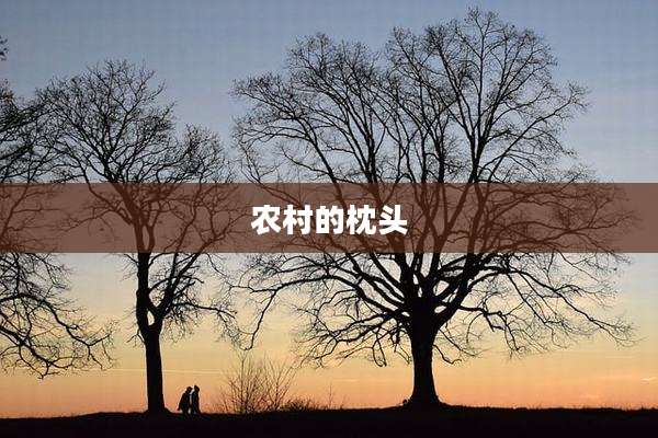 农村的枕头