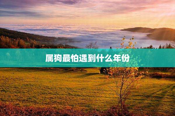 属狗最怕遇到什么年份