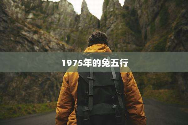 1975年的兔五行