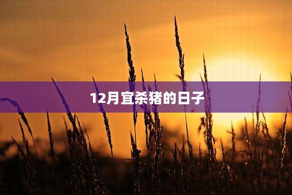 12月宜杀猪的日子
