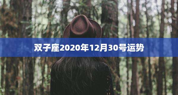 双子座2020年12月30号运势