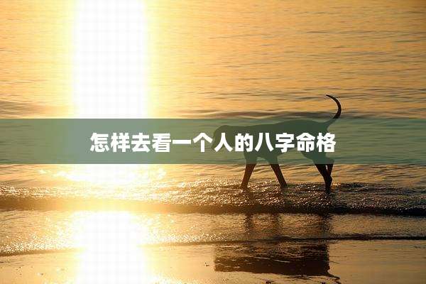 怎样去看一个人的八字命格