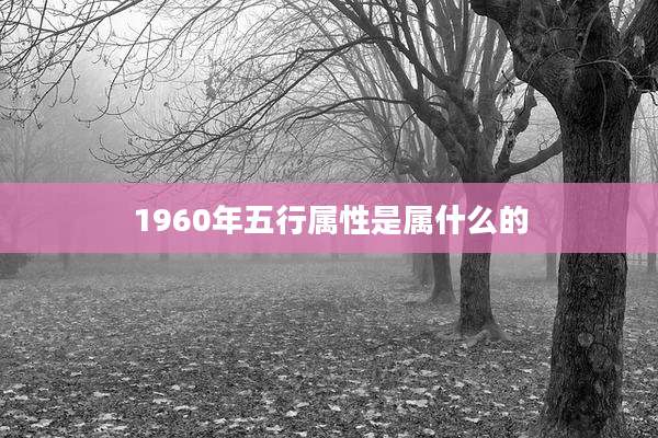 1960年五行属性是属什么的