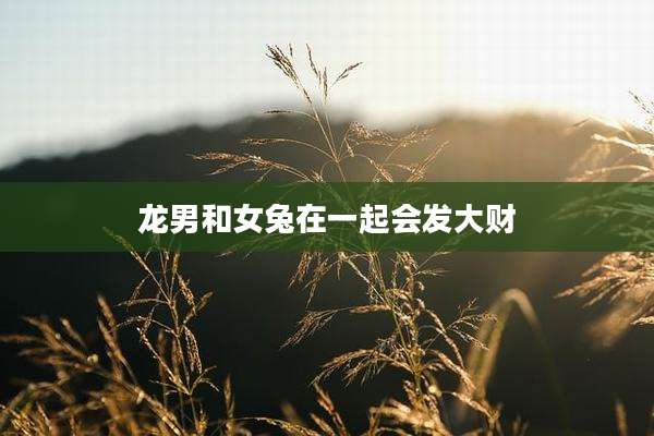 龙男和女兔在一起会发大财