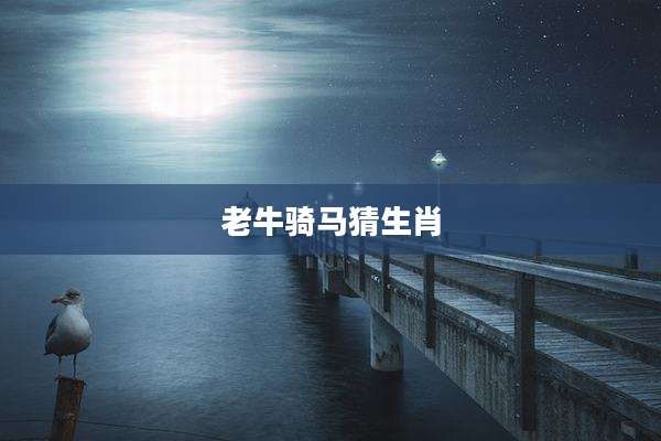 老牛骑马猜生肖