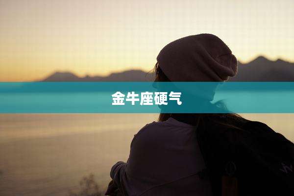金牛座硬气