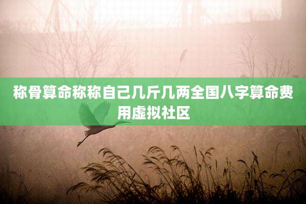 称骨算命称称自己几斤几两全国八字算命费用虚拟社区