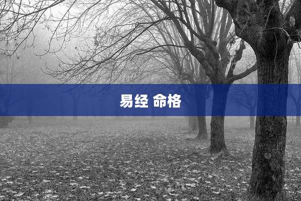 易经 命格