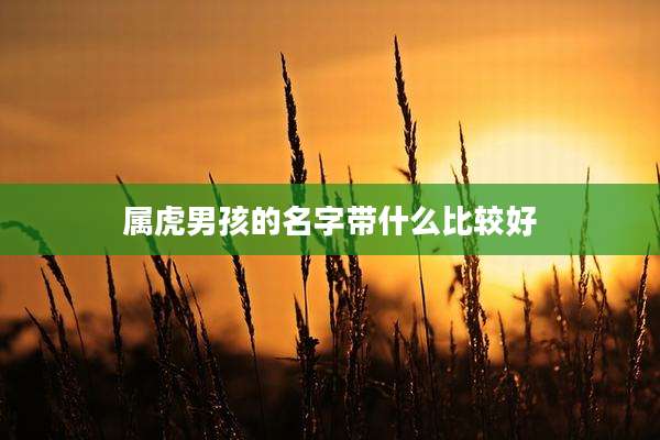 属虎男孩的名字带什么比较好