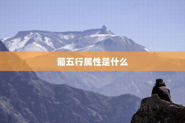 葡五行属性是什么