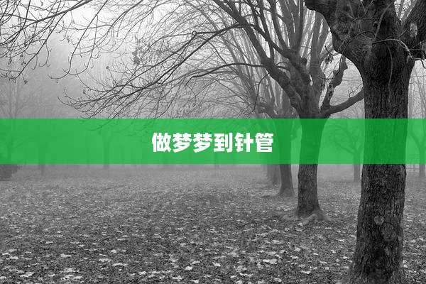 做梦梦到针管