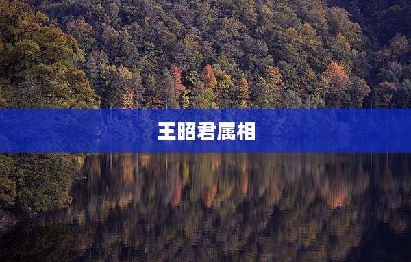 王昭君属相