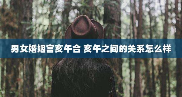 男女婚姻宫亥午合 亥午之间的关系怎么样