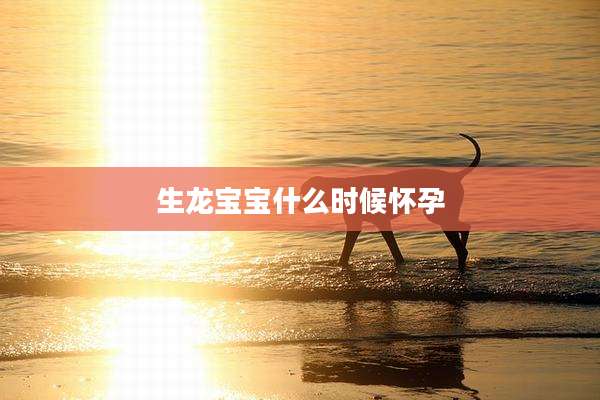 生龙宝宝什么时候怀孕