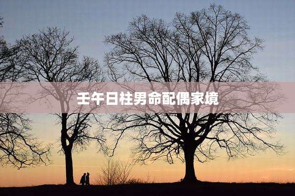 壬午日柱男命配偶家境