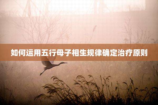 如何运用五行母子相生规律确定治疗原则