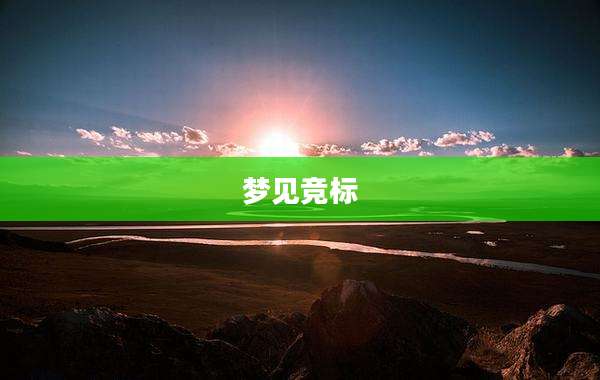 梦见竞标