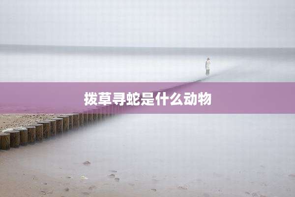 拨草寻蛇是什么动物