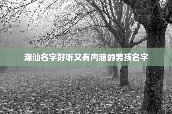 潮汕名字好听又有内涵的男孩名字