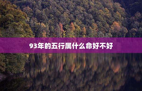 93年的五行属什么命好不好