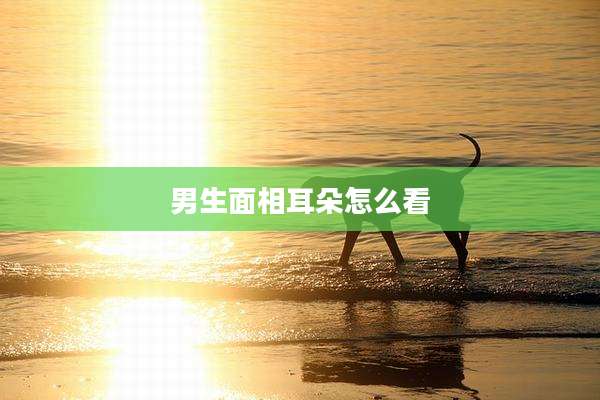 男生面相耳朵怎么看