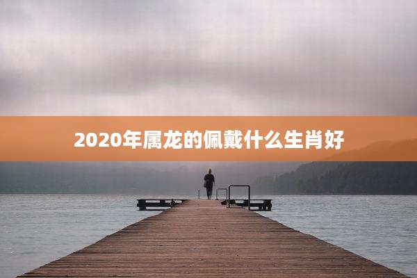 2020年属龙的佩戴什么生肖好