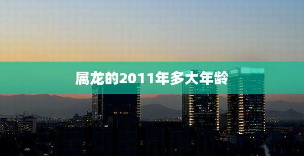属龙的2011年多大年龄