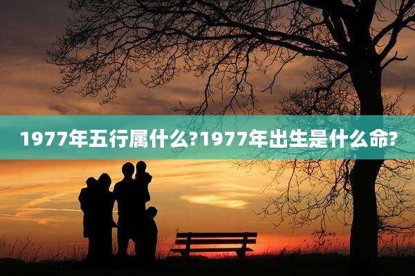 1977年五行属什么?1977年出生是什么命?