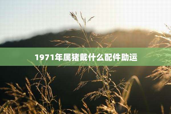 1971年属猪戴什么配件助运