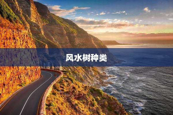 风水树种类