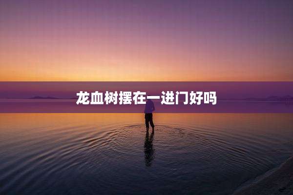 龙血树摆在一进门好吗