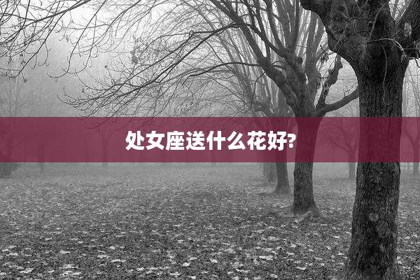 处女座送什么花好?
