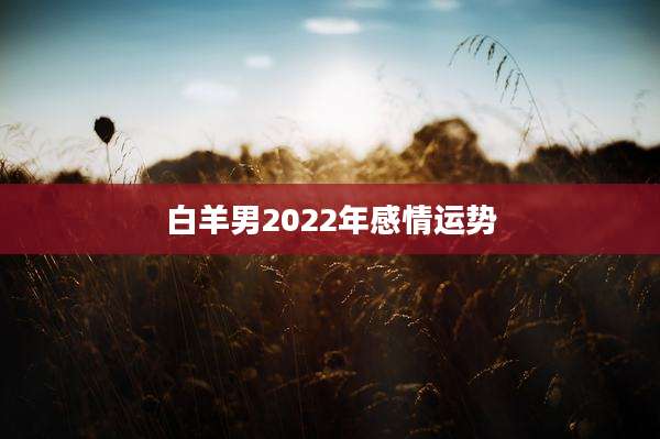 白羊男2022年感情运势