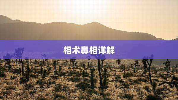 相术鼻相详解