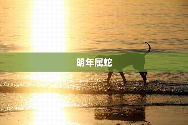 明年属蛇